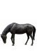 Paard gedenkbeeld van brons - beperkt beschikbaar