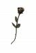 Mini urn bronzen roos