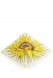 Piramide urn 'Zonnebloem'