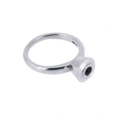 assieraad as hangers assieraden ringen zilver
