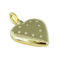 assieraad as hangers assieraden hart goud