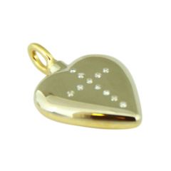 assieraad as hangers assieraden hart goud