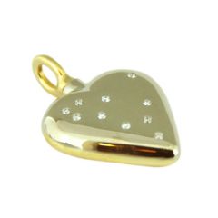 assieraad as hangers assieraden hart goud