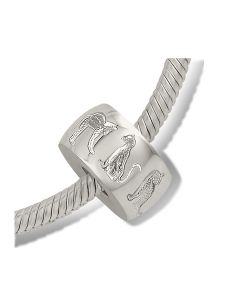 Asbedel zilver 'Kat'