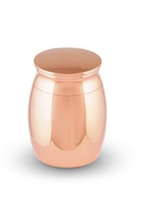 Micro urn