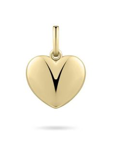 Vergulde gedenkhanger hart van zilver